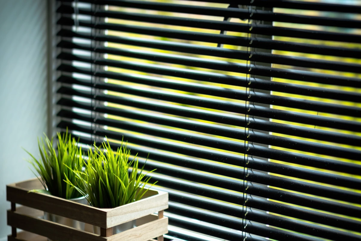 Window-blinds-plants
